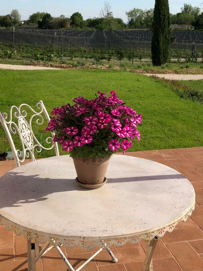 Maso Maroni Agriturismo Quinto di Valpantena Zewnętrze zdjęcie