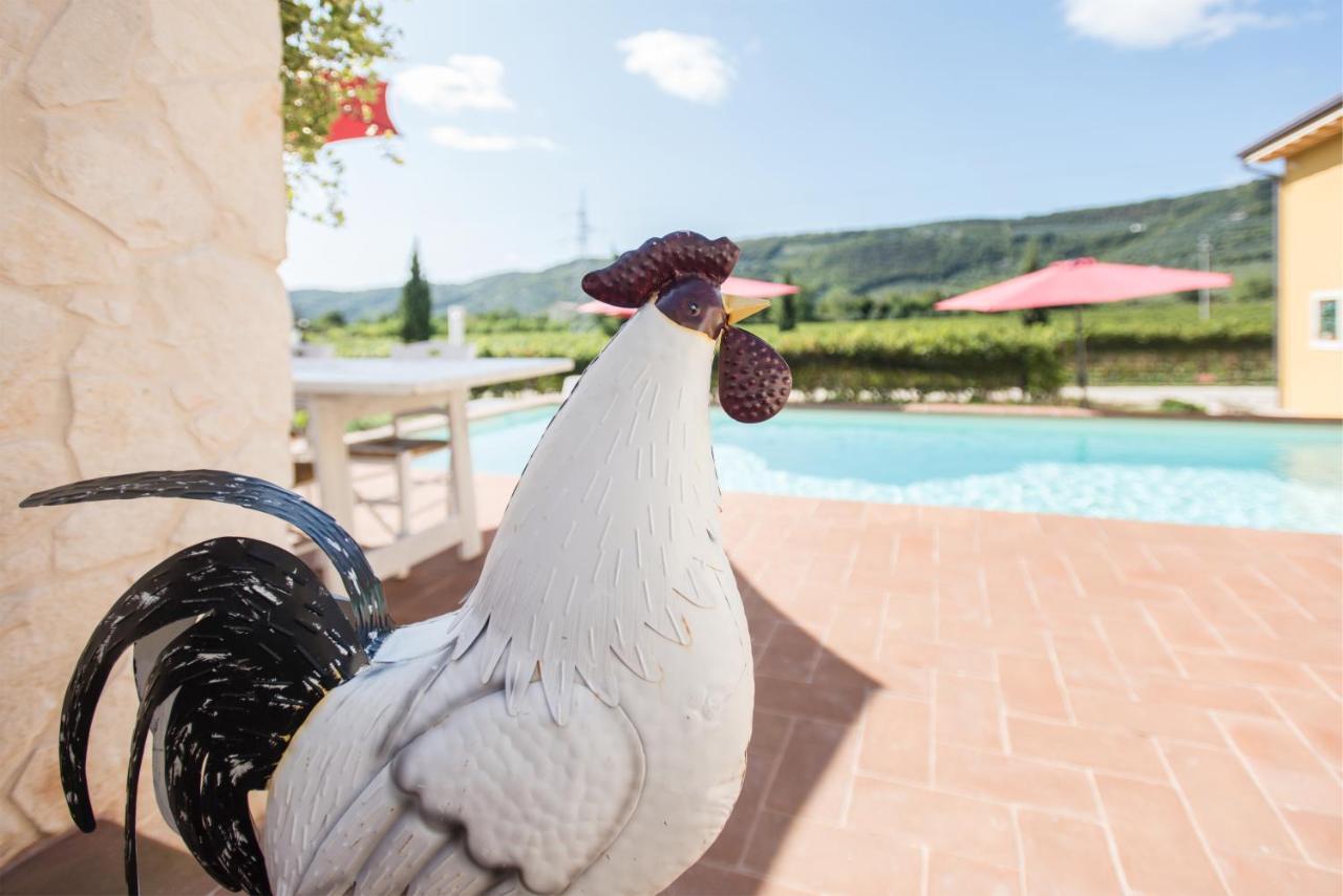 Maso Maroni Agriturismo Quinto di Valpantena Zewnętrze zdjęcie