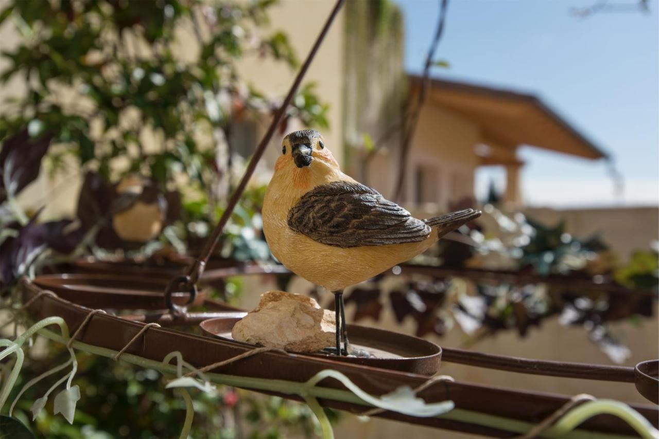 Maso Maroni Agriturismo Quinto di Valpantena Zewnętrze zdjęcie
