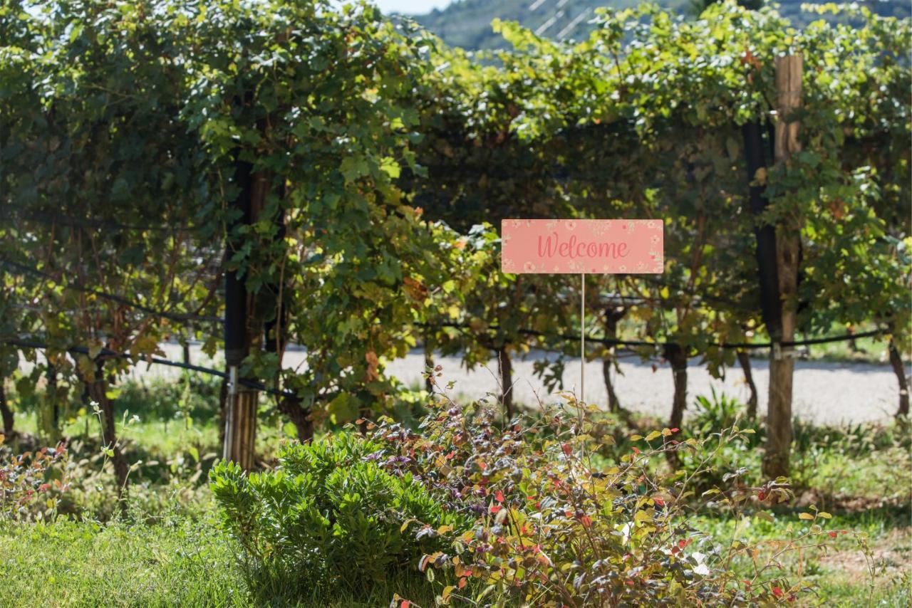 Maso Maroni Agriturismo Quinto di Valpantena Zewnętrze zdjęcie